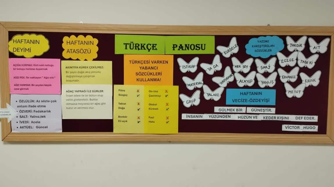 Okul Türkçe Panomuz